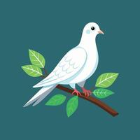 Realistic pigeon-bird concept illustration vector