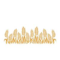 Seamless food pattern with wheat, oat, barley, rye, wheat ears stalks silhouette on white background and place for text. illustration vector