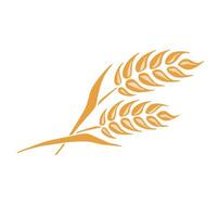 Rice symbol. Wheat symbol wallpaper. logo design. illustration vector