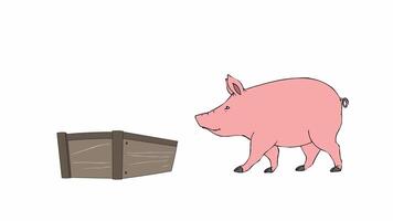 une porc marchait plus de à le alimentation boîte et commencé alimentaire. dessin animé personnage de porc ferme village video