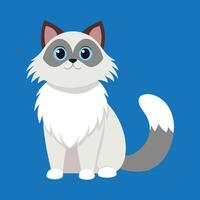 ragdoll cat cartoon animal illustration vector