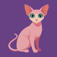 sphynx cat cartoon animal illustration vector