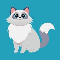 ragdoll cat cartoon animal illustration vector