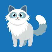 ragdoll cat cartoon animal illustration vector