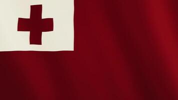 Tonga Flagge winken Animation. voll Bildschirm. Symbol von das Land. 4k video