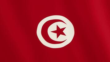 Tunisia flag waving animation. Full Screen. Symbol of the country. 4K video