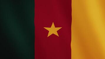 Cameroon flag waving animation. Full Screen. Symbol of the country. 4K video