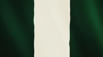 Nigeria drapeau agitant animation. plein filtrer. symbole de le pays. 4k video