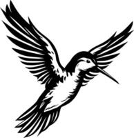 colibrí, negro y blanco ilustración vector
