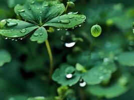 Vintage Seamless pattern of four leaf clover floating on water with texture effect. photo