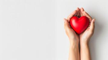 World Health Day isolated on white. Human hands holding red heart. Blood donation and CSR concept. photo