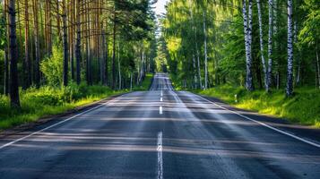 la carretera fondo, acogedor la carretera con marcas y denso. verano bosque en el lados foto