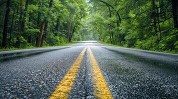 la carretera fondo, acogedor la carretera con marcas y denso. verano bosque en el lados foto