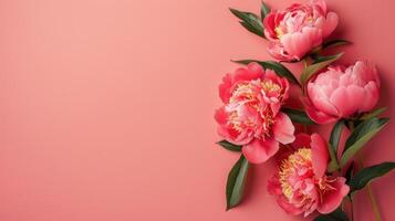 hermosa peonías en rosado antecedentes. plano laico con espacio para texto. un tarjeta para Pascua de Resurrección, De las mujeres día, de la madre día, San Valentín día, cumpleaños. foto