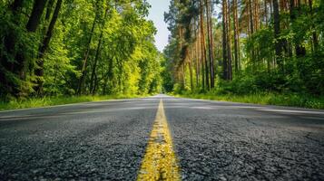 Road background, cozy road with markings and dense. Summer forest on the sides. photo