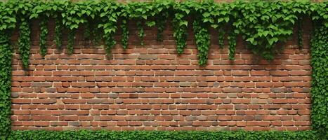 Old brick blocks wall and green creeper, retro stonewall with copy space, brickwork exterior mockup photo