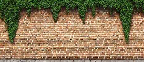 Old brick blocks wall and green creeper, retro stonewall with copy space, brickwork exterior mockup photo