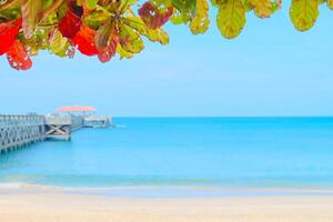 Soft focus,Tropical beach and blurred sea view with pier of colorful leaves on sky photo