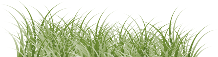 grass clipart transparent background png