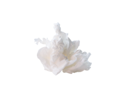 Front view of screwed or crumpled tissue paper ball after use in toilet or restroom isolated with clipping path in file format png