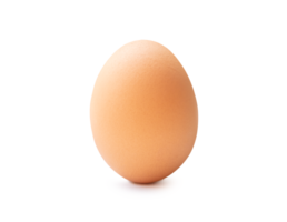 Front view of single fresh brown chicken egg standing isolated with clipping path and shadow in file format png