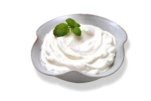 dry curd in bowl photo