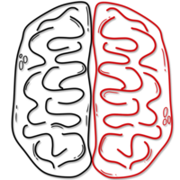 Illustration von Mensch Gehirn Anatomie erstellt durch schwarz und rot Linie png