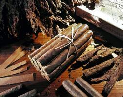 Cuban cigars, considered the best in the hierarchy of smoking and the pleasure of smoking. photo