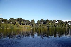 tocantins río, Belem hacer paraca, Brasil foto