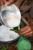 Pititi, type of mesh made from dry straw to extract honey from cocoa photo