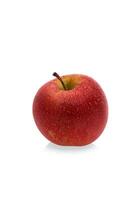 red wet Fuji apple on white background photo