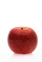 red wet Fuji apple on white background photo