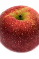 red wet Fuji apple on white background photo