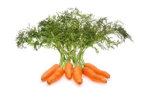 bunch of whole carrots on white background photo