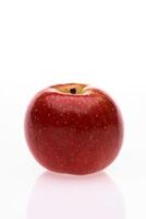 red wet Fuji apple on white background photo