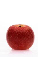 red wet Fuji apple on white background photo