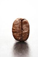 wet coffee bean close-up on neutral background photo