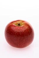 red wet Fuji apple on white background photo