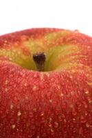 red wet Fuji apple on white background photo
