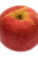 red wet Fuji apple on white background photo