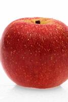 red wet Fuji apple on white background photo