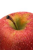 red wet Fuji apple on white background photo