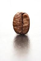 wet coffee bean close-up on neutral background photo