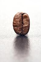 wet coffee bean close-up on neutral background photo