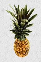 whole pineapple on white background photo