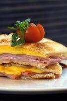 Tramezzini Cotto, Italian ham and cheese sandwich with toasted bread photo