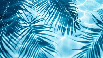 A blue palm leaves reflected in the water. Tropical leaf shadow on water surface. Shadow of palm on blue water. Beautiful abstract background photo