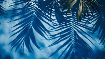 A blue palm leaves reflected in the water. Tropical leaf shadow on water surface. Shadow of palm on blue water. Beautiful abstract background photo