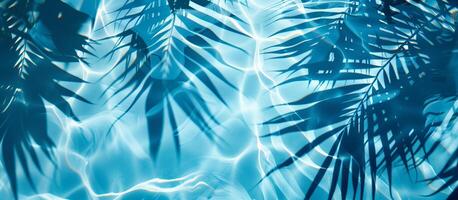 A blue ocean with palm trees and their shadows on the water photo