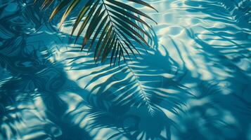 A blue palm leaves reflected in the water. Tropical leaf shadow on water surface. Shadow of palm on blue water. Beautiful abstract background photo